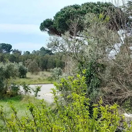 Shardana Bed & Breakfast Sesimbra
