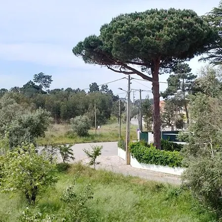 Shardana Bed & Breakfast Sesimbra